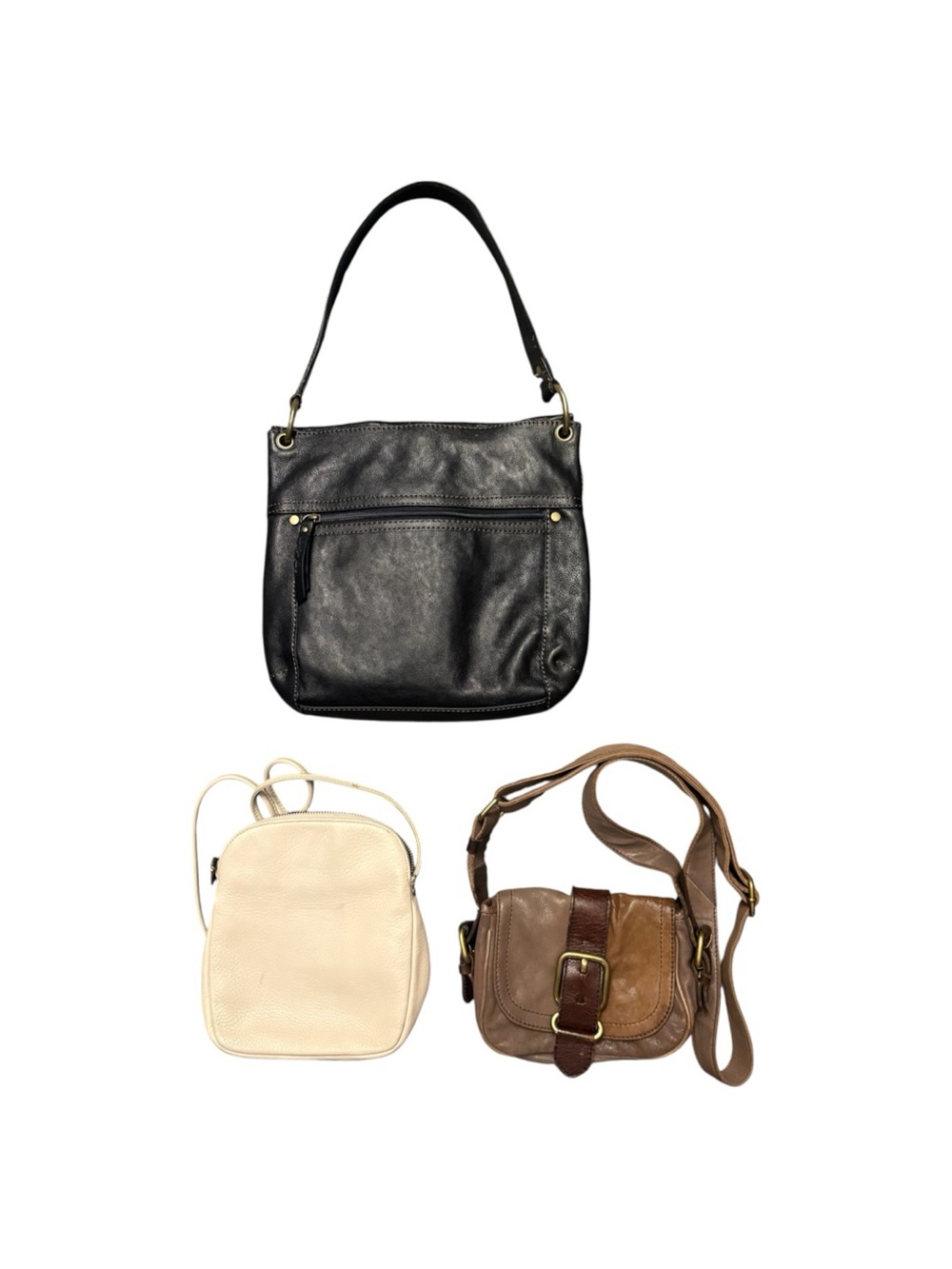 Fossil bundle - Picture 2 of 5